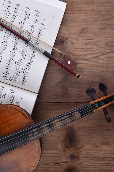 VIOLIN CHICO